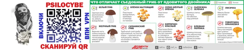 Псилоцибиновые грибы GOLDEN TEACHER как найти наркотики Серов